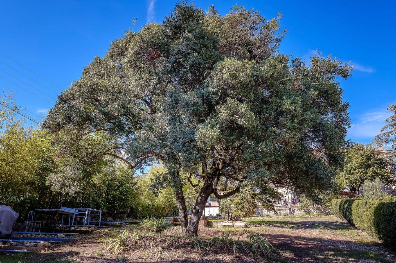 B&B En Provence- Villa Saint Marc Forcalquier Eksteriør bilde