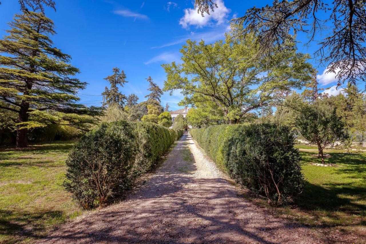 B&B En Provence- Villa Saint Marc Forcalquier Eksteriør bilde