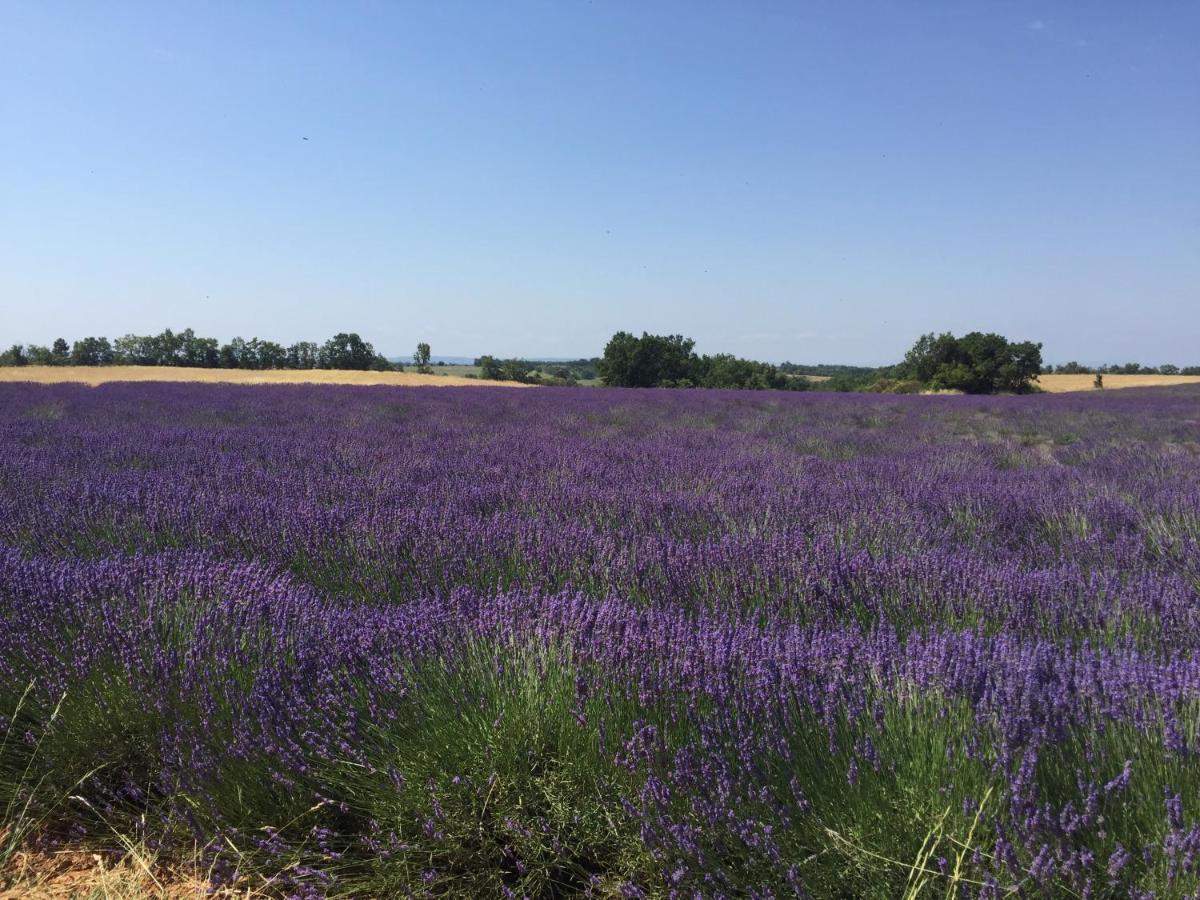 B&B En Provence- Villa Saint Marc Forcalquier Eksteriør bilde