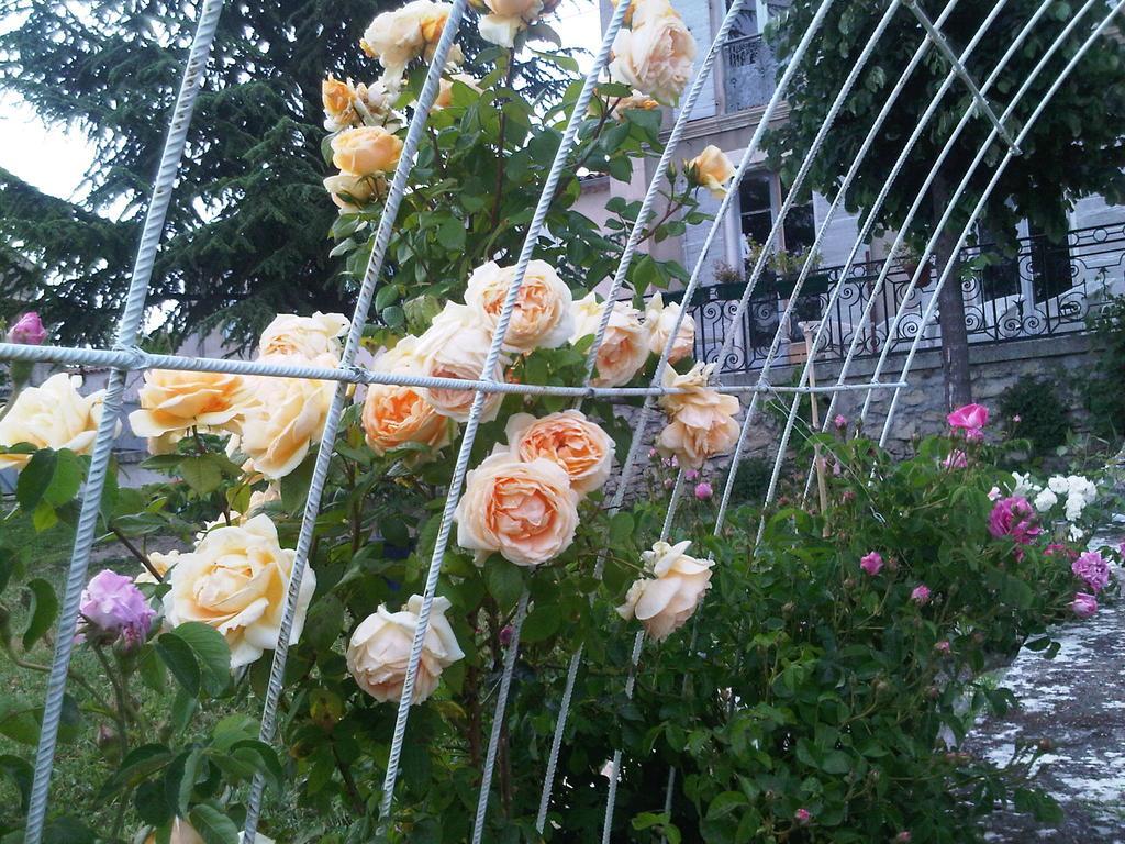 B&B En Provence- Villa Saint Marc Forcalquier Eksteriør bilde